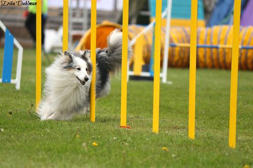 IMG_0893 IMG_0893