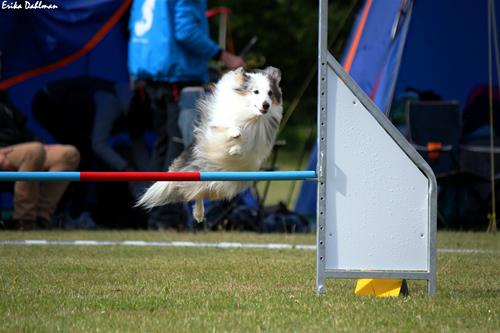 IMG_8552 IMG_8552