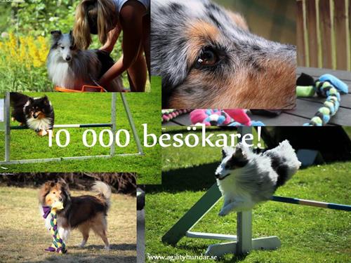 10000 10000