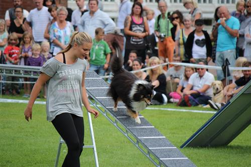 IMG_5860 IMG_5860