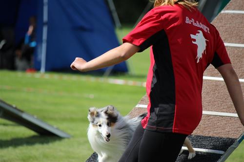 IMG_6329 IMG_6329