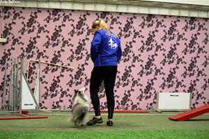 IMG_8977 IMG_8977