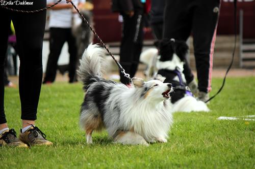 IMG_4449 IMG_4449