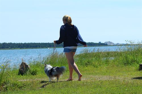IMG_2449 IMG_2449