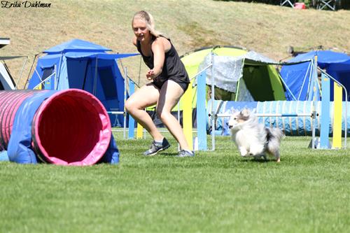 IMG_3553 IMG_3553