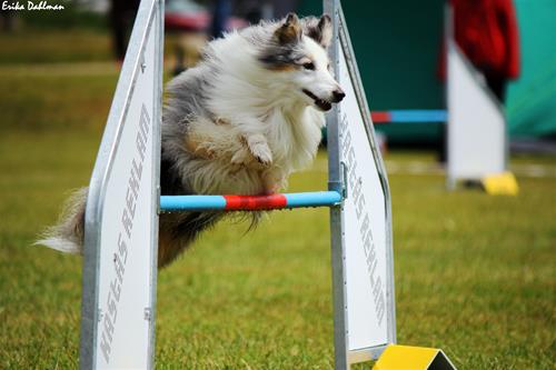 IMG_9566 IMG_9566