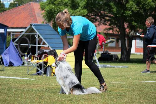IMG_8717 IMG_8717