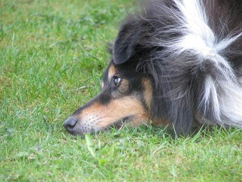 IMG_4055 IMG_4055