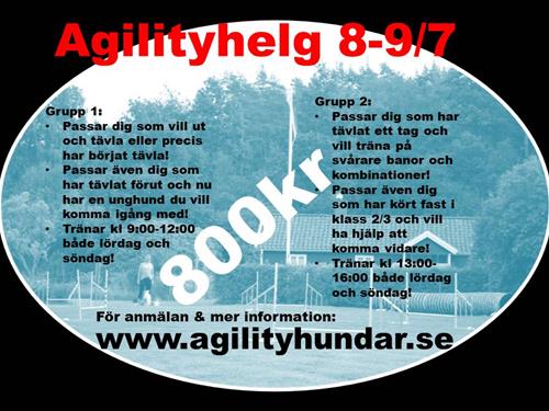 agilityhelg17 agilityhelg17