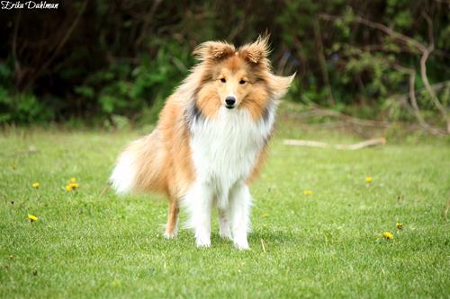 IMG_3660 IMG_3660