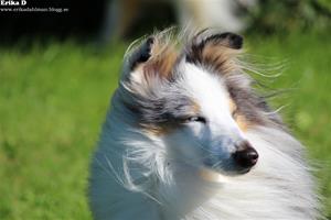 IMG_1968 IMG_1968