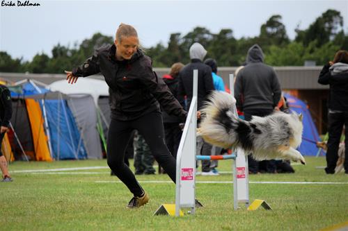 IMG_9145 IMG_9145