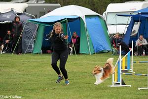 IMG_2214 IMG_2214