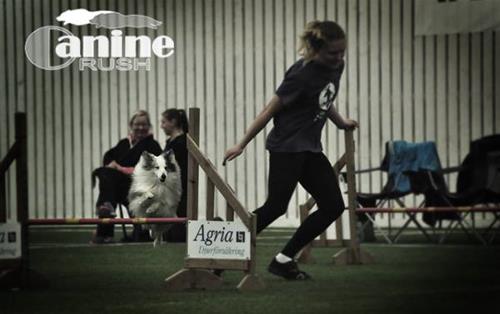 13138810_10204621708862163_931077869211634854_n 13138810_10204621708862163_931077869211634854_n
