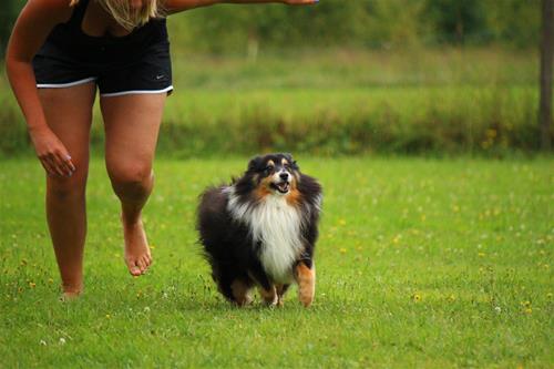 IMG_3476 IMG_3476