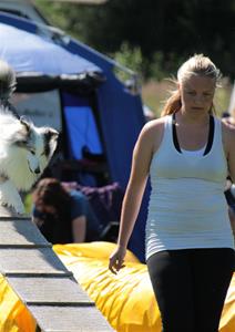 IMG_4409 IMG_4409