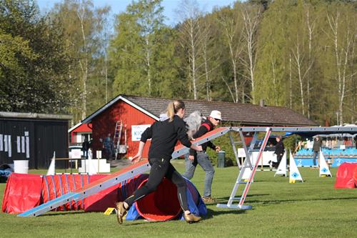 IMG_2268 IMG_2268