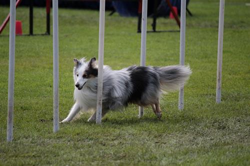 IMG_4707 IMG_4707