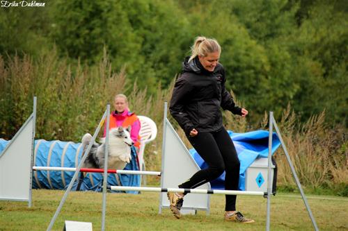 IMG_9610 IMG_9610