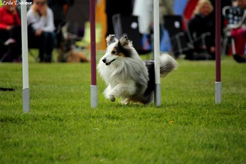 IMG_4472 IMG_4472