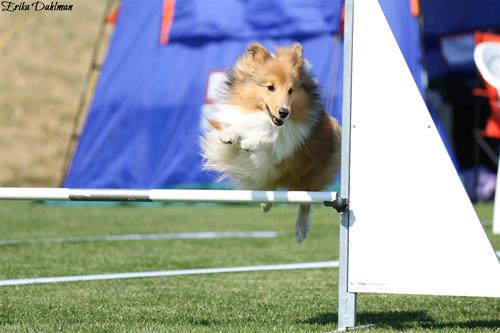 IMG_2484 IMG_2484