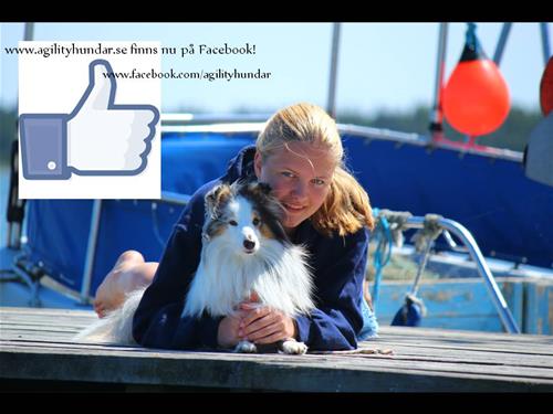 fb-bild fb-bild