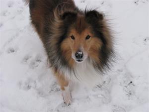 IMG_4675 IMG_4675