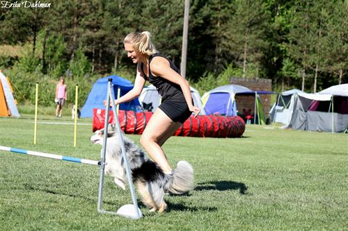 IMG_3146 IMG_3146