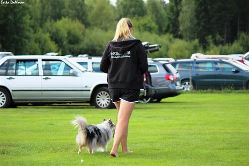 IMG_3562 IMG_3562