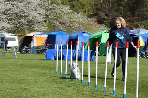 IMG_2157 IMG_2157