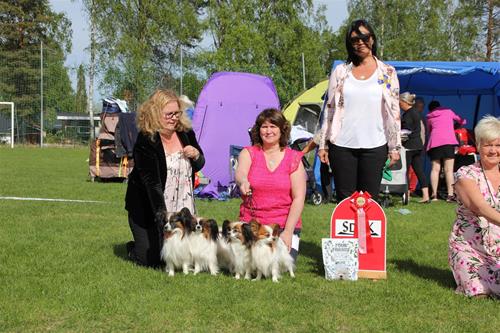 IMG_5577 IMG_5577