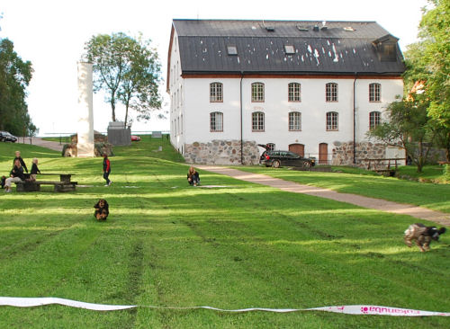 ulva10_24 ulva10_24