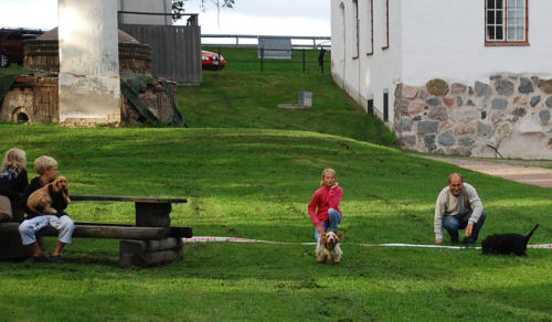 ulva10_19 ulva10_19
