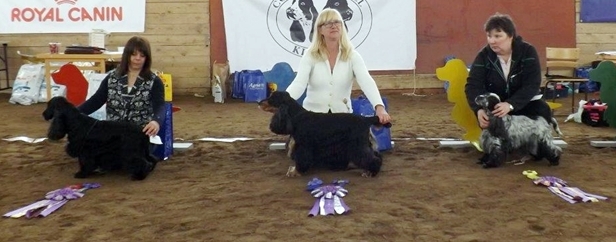 veteranmastarna2016 veteranmastarna2016
