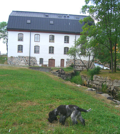 ulva0644 ulva0644