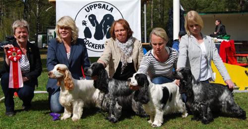 vendel12_bis_uppfgr vendel12_bis_uppfgr