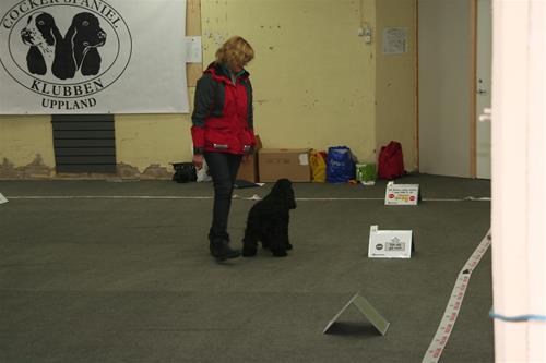 IMG_9833 IMG_9833