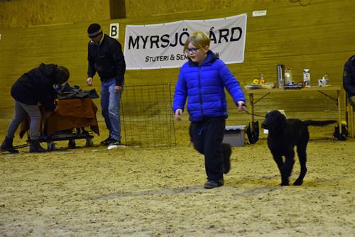Barn med hund 2 Barn med hund 2