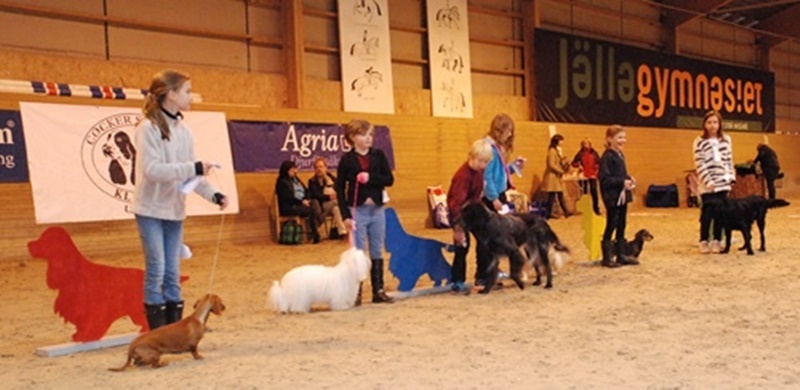 barnmhund barnmhund
