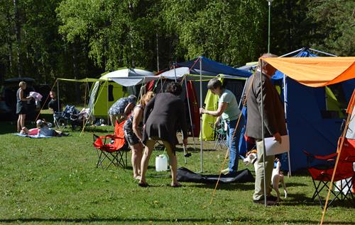 DSC_0013 DSC_0013