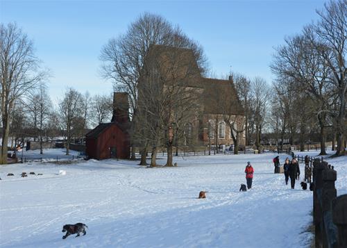 DSC_0095 DSC_0095