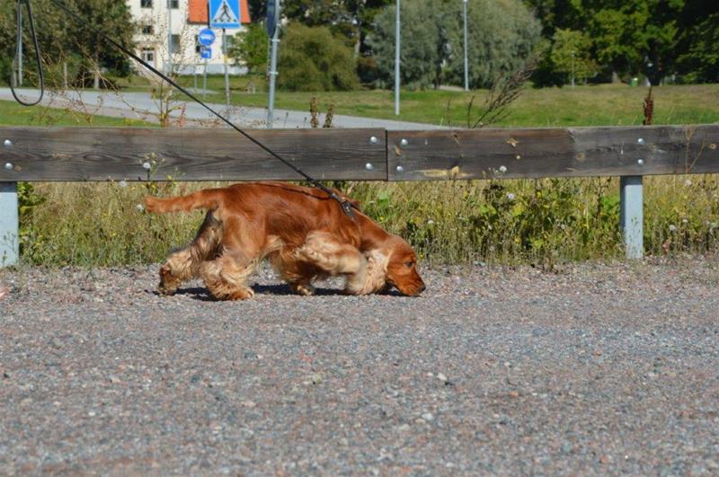 DSC_0031 DSC_0031
