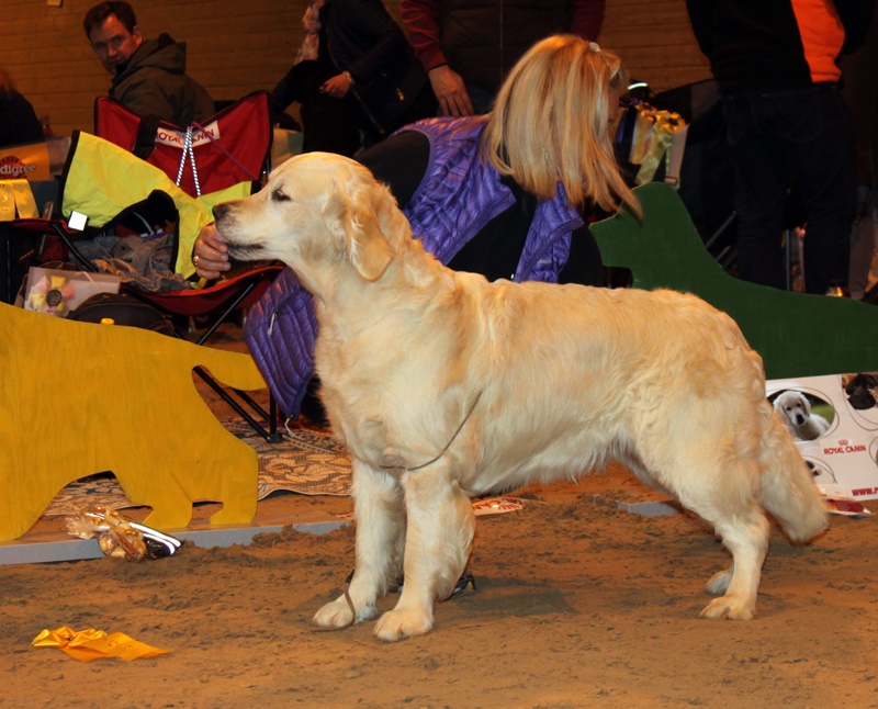 bigvuxenjalla2016 bigvuxenjalla2016