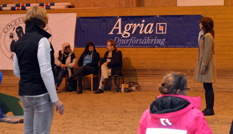 domarnajalla02016 domarnajalla02016