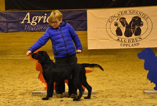 Barn med hund Barn med hund