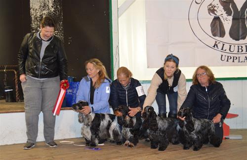 BIS 1uppfödargrupp BIS 1uppfödargrupp