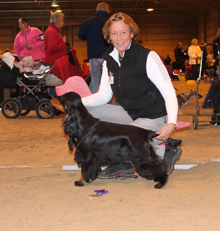 hanemerrycockvinnarejalla2016 hanemerrycockvinnarejalla2016