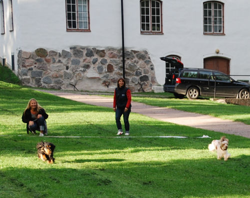 ulva10_34 ulva10_34