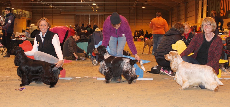 oppenhanarjalla2016 oppenhanarjalla2016