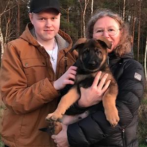 Rindrosens Blixten 8 veckor flyttar till matte Ulla Keinström med familj till Boden Rindrosens Blixten 8 veckor flyttar till matte Ulla Keinström med familj till Boden